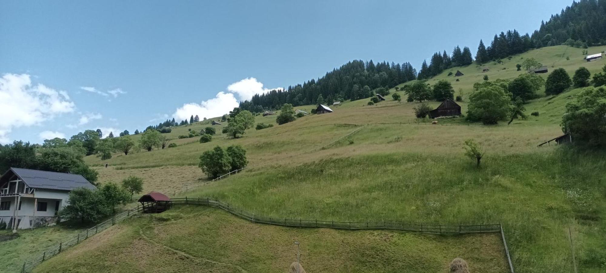 Pensiunea Sorina Casa Alba Moeciu De Sus Exteriér fotografie